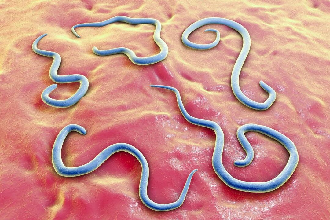 паразитичні черви в організмі людини